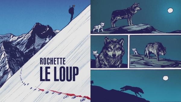 bd-le-loup-1_0