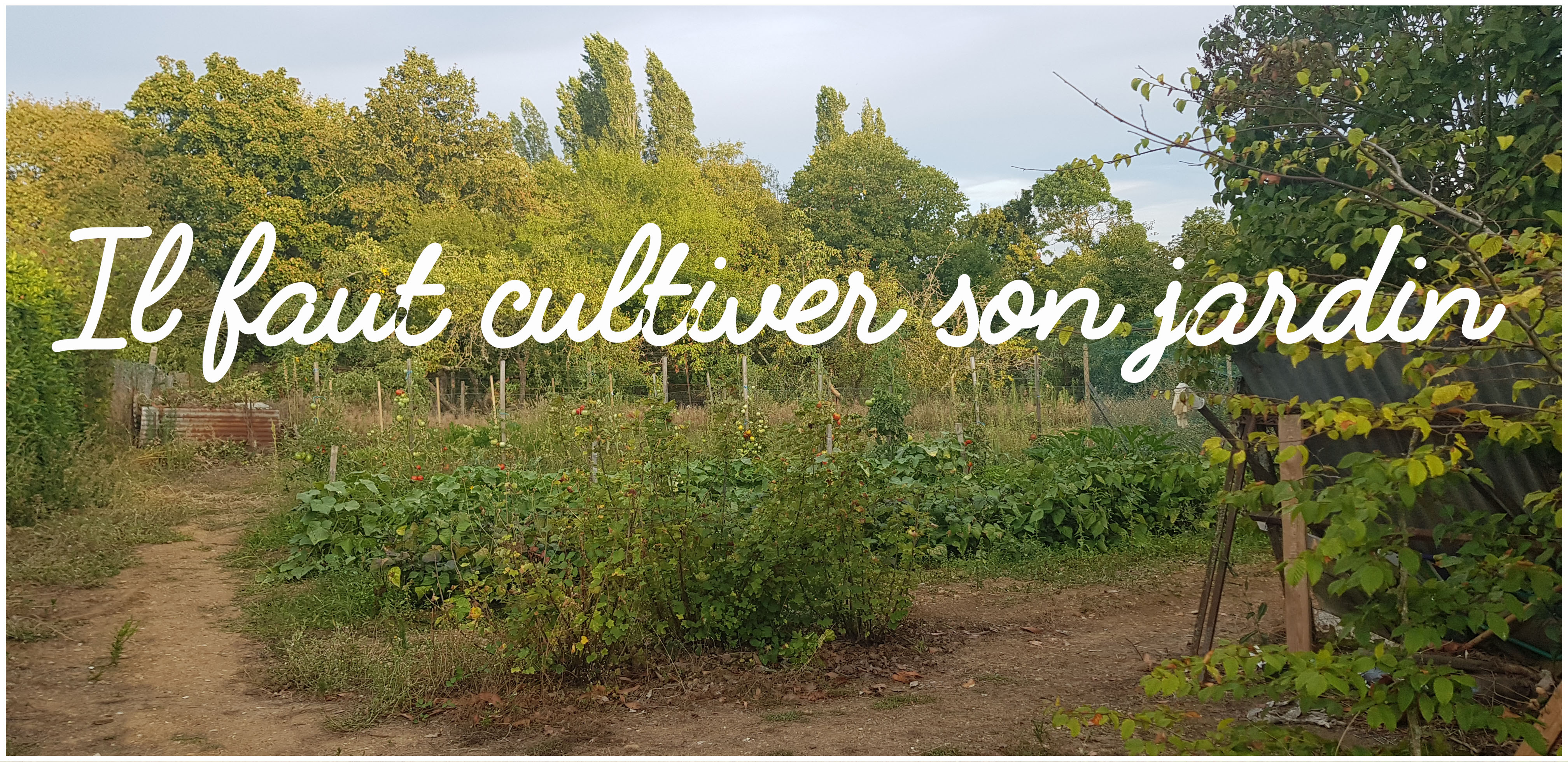 il_faut_cultiver_son_jardin