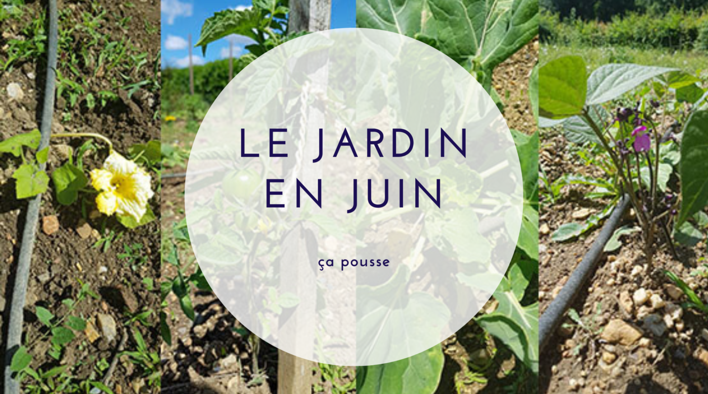 Le JARDIN EN JUIN