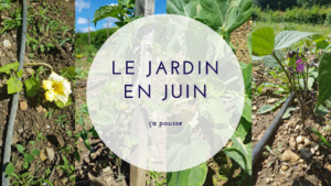 Le JARDIN EN JUIN